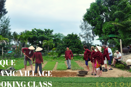 TRA QUE ORRGANIC VILLAGE & COOKING CLASS